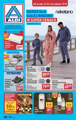 Aldi non food